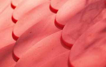 Livermead plastic roof costs